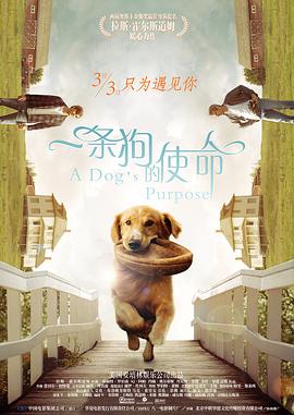数学老师让我吃她的小兔兔